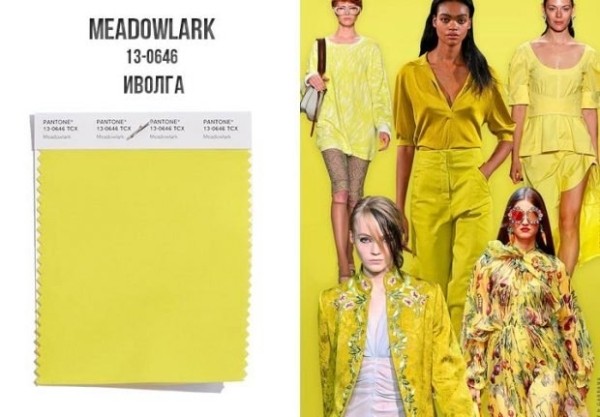 Модные цвета весна лето 2022 2023 Модные цвета весна лето 2022 2023
