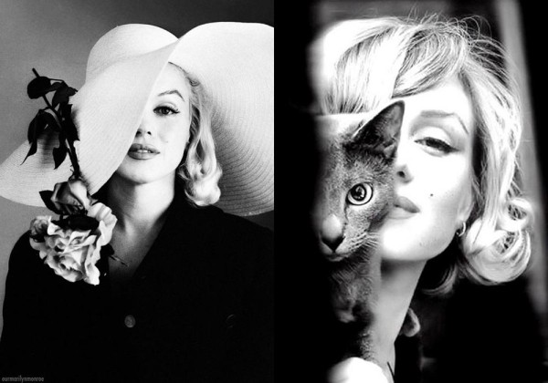 100 идей для фотосессии: как делать красивые фото